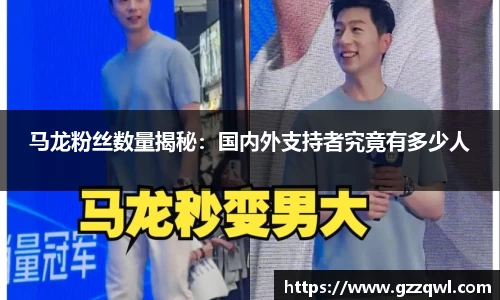 马龙粉丝数量揭秘：国内外支持者究竟有多少人
